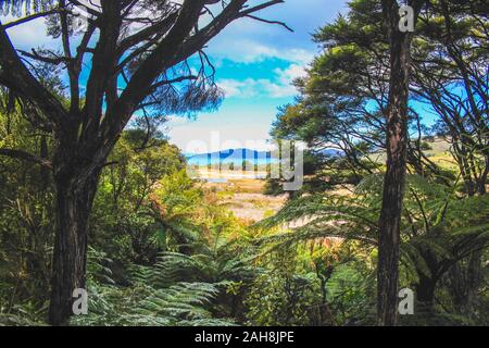 Blick auf Anapai Strand auf der Südinsel von Neuseeland Stockfoto