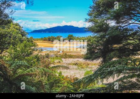 Blick auf Anapai Strand auf der Südinsel von Neuseeland Stockfoto