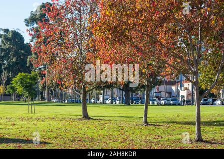 Herbst morgen im Balboa Park. San Diego, Kalifornien, USA. Stockfoto