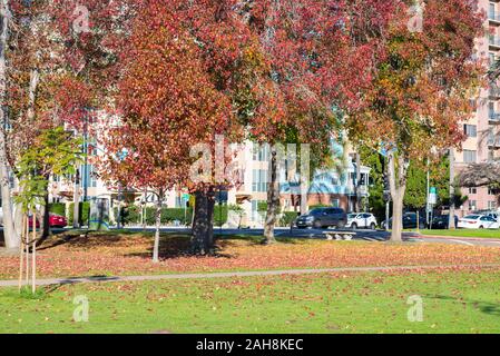 Herbst morgen im Balboa Park. San Diego, Kalifornien, USA. Stockfoto