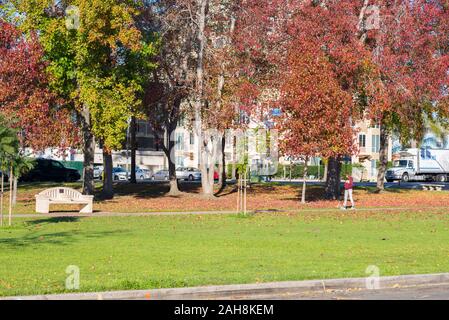 Herbst morgen im Balboa Park. San Diego, Kalifornien, USA. Stockfoto