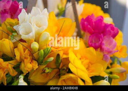 Gemischten bunten Strauß aus verschiedenen Blumen, Dekoration, Bouquet, Hintergrund für die Grußkarte Stockfoto