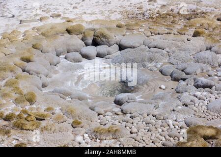 Norris Geyser Basin, Yellowstone-Nationalpark, Wyoming, Vereinigte Staaten von Amerika Stockfoto