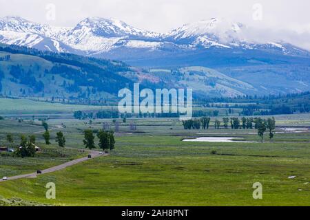 Lamar Valley, Yellowstone National Park, Wyoming, USA Stockfoto