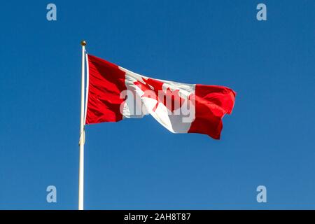 Kanadische Flagge an der kanadischen National Vimy Memorial (Ersten Weltkrieg Memorial) auf die Vimy Ridge in der Nähe der Stadt Arras, Frankreich. Stockfoto