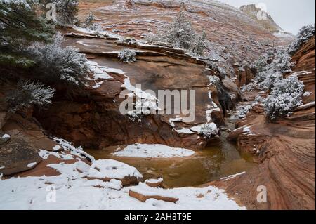 Malerische Winteransicht während der Wanderung zum Tempel von Sinawava, dem Virgin River folgend im Zion National Park, Utah Stockfoto