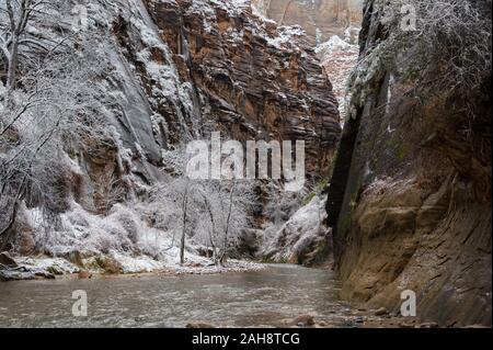 Fluss, der durch Schnee im Winter Landschaft im Zion National Park in Utah. Dieser Fluss ist auf der Wanderung gegen den Tempel des Sinawava gesehen. Stockfoto