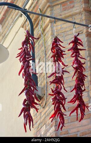Detail der Peperoni außerhalb des Hauses zum Trocknen aufhängen. Stockfoto
