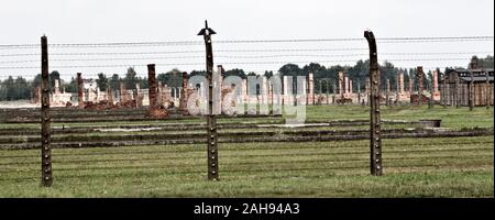 Blick auf Auschwitz II Birkenau Stockfoto