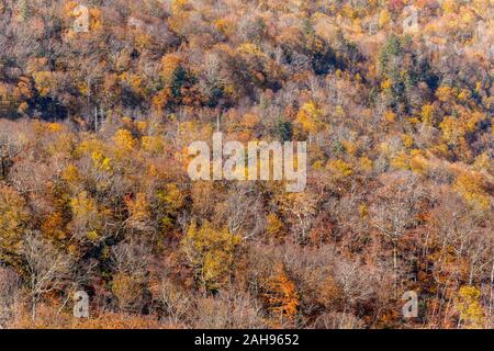 Herbst Sehenswürdigkeiten entlang der Blue Ridge Parkway Abschnitt in der Appalachian Hochland zwischen Blowing Rock und Asheville, North Carolina. Stockfoto