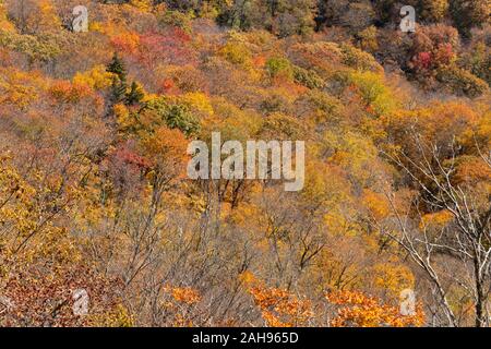 Herbst Sehenswürdigkeiten entlang der Blue Ridge Parkway Abschnitt in der Appalachian Hochland zwischen Blowing Rock und Asheville, North Carolina. Stockfoto