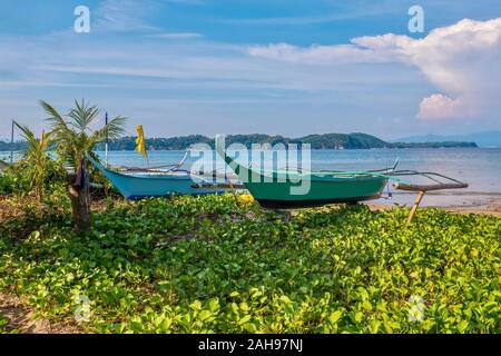 Eine malerische Szene auf einer tropischen Insel in den Philippinen, als kleine Holz- outrigger Fischerboote sind bis auf einen Strand, die Vegetation hat gezogen. Stockfoto