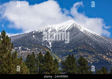 Frischer Schnee auf der San Francisco Peaks in Flagstaff, Arizona, USA Stockfoto