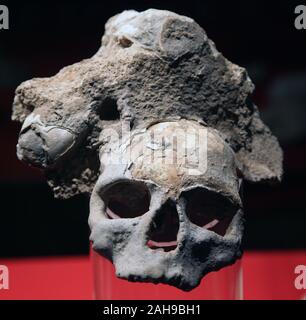 Anthropologische bleibt mit dem Titel 'Napoleon' vom Th Höhle von Nerja in Nerja Spanien Andalusien Provinz Malaga Stockfoto