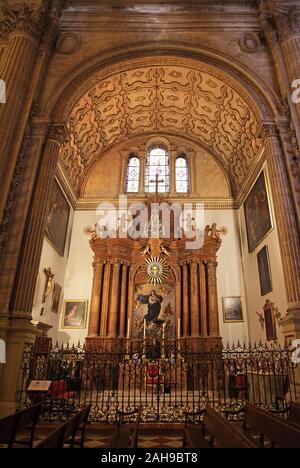 Kapelle der Unbefleckten Empfängnis in der Kathedrale unserer Lieben Frau von der Menschwerdung "die Kathedrale" im Zentrum Malaga Costa del Sol Andalucia Spanien Stockfoto