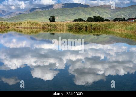 Wolken und Wasser Schilf im Wasser auf Mikri Prespa See in der Ortschaft Mikrolimni in Mazedonien, Nordgriechenland wider. Stockfoto