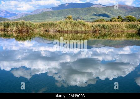 Wolken und Wasser Schilf im Wasser auf Mikri Prespa See in der Ortschaft Mikrolimni in Mazedonien, Nordgriechenland wider. Stockfoto