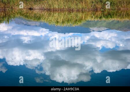 Wolken und Wasser Schilf im Wasser auf Mikri Prespa See in der Ortschaft Mikrolimni in Mazedonien, Nordgriechenland wider. Stockfoto