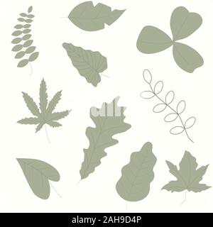 Vektor einrichten von Blatt Blumen - stilvolle Abbildungen von Blättern, Blüten, gut für Postkarten, Einladungen, Plakate, Design Stock Vektor