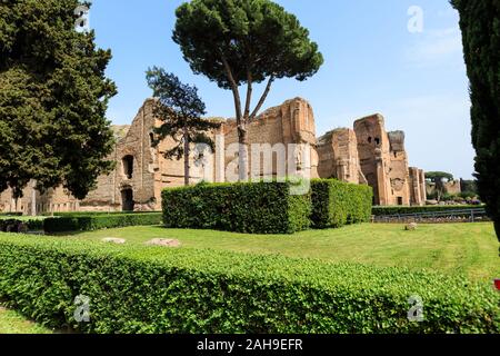 Panoramasicht auf die Terme di Caracalla in Rom. Dachkiefern in riesigen Ruinen Stockfoto