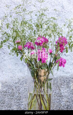 Blumen in Vase, rosa Pfingstrosenvase aus Garten Stockfoto