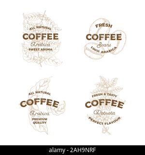 Kaffee. Satz von Vintage hand Logos erstellt. Botanik Emblem. Skizze Stil. Stock Vektor