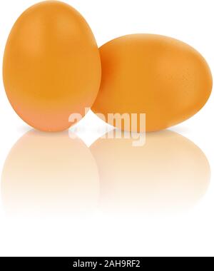 Huhn Eier auf weißem Hintergrund mit Reflexion. Vector Illustration. Stock Vektor