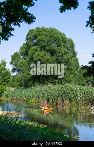 Kayaker Paddeln auf der Spree zwischen Hangelsberg und Fürstenwalde, Erkner, Brandenburg, Deutschland Stockfoto