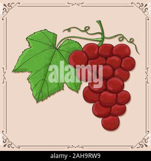 Trauben. Hand Skizze gezeichnet Stock Vektor