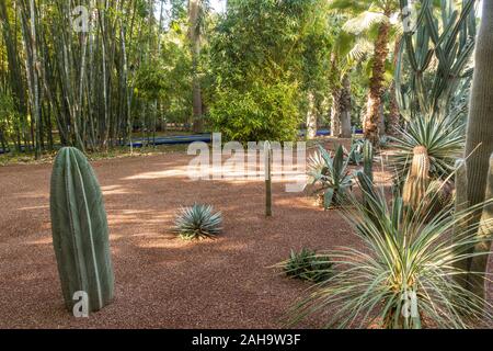 Majorelle Gärten, Jardin Majorelle. Pavillion Kakteen, Yves Saint Laurent und Pierre Bergé früher Eigentümer. Marrakech Guéliz, Mor Stockfoto