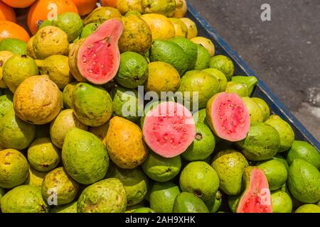 Stapel der jocote Früchte oder mombin hog Plum und sineguela an einem lokalen frischen Markt in San Jose Costa Rica verkauft Stockfoto