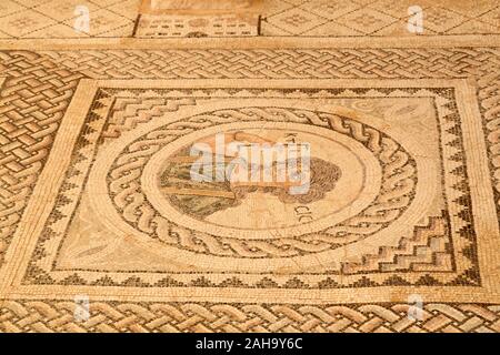 Ausgegraben Mosaik an Kurion (Curium) in der Nähe von Limassol auf Zypern. Die Stockfoto