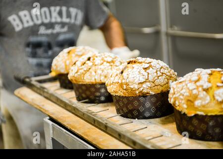 Italienischer Konditormeister Backen Panettone süßen italienischen Kuchen Stockfoto