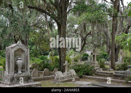 Friedhof, Gräber, Grab, Grabstein, Grabsteine, Friedhöfe, Historische Stätte, Steineichen, Quercus virginiana, spanisches Moos, Tilandsia useneoides, Moos-hung Eichen, s Stockfoto