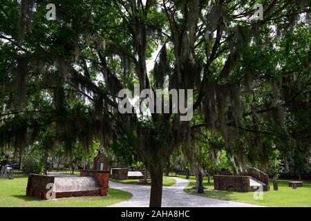 Steineichen, Quercus virginiana, spanisches Moos, Tilandsia useneoides, Moos-hung Eichen, koloniale Park Friedhof, Savannah, Georgia, historischer Friedhof, Grabstätte, Stockfoto