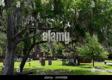 Steineichen, Quercus virginiana, spanisches Moos, Tilandsia useneoides, Moos-hung Eichen, koloniale Park Friedhof, Savannah, Georgia, historischer Friedhof, Grabstätte, Stockfoto