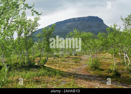 Idyllische Bergblick am Saanatunturi fiel in Enontekiö, Kilpisjärvi, finnisch Lappland, Finnland. Stockfoto