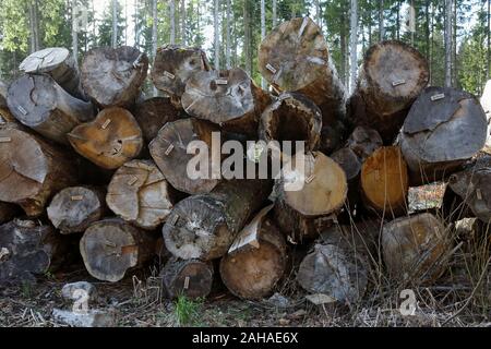 14.04.2017, Hovmantorp, sölvesborgs Län, Schweden - Baumstämme aus der Södra Forstunternehmen sind bereit für die Sammlung. 00 S 170414 D 060 CAROEX.JPG [MODUS Stockfoto