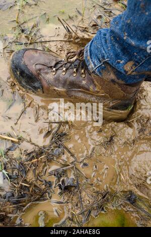 Männliches Bein wandern in schlammigen Feld Festgefahren im Schlamm. Stockfoto