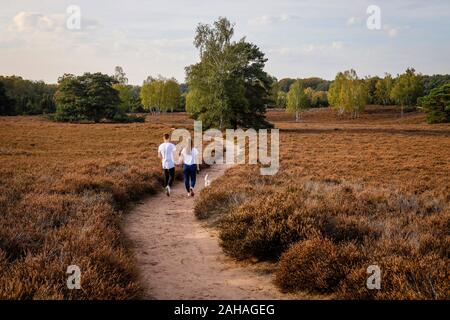 14.10.2019, Haltern am See, Nordrhein-Westfalen, Deutschland - Westruper Heide, ein junges Paar mit einem Hund spazieren Hand in Hand auf den Weg durch die Hitze Stockfoto
