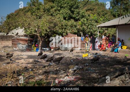 Gabu, Republik Guinea-Bissau - 11. Februar 2018: die Menschen in einem Slum am Rande der Stadt von Gabu, mit Dreck auf der Straße und Geier, in G Stockfoto