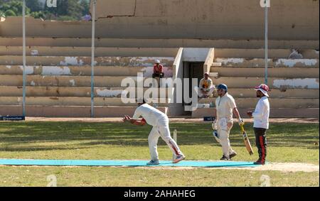 Riebeeck West, Swartland, Western Cape, Südafrika. November 2019. Cricketers spielen an der Riebeeck West Krieger home Boden Stockfoto