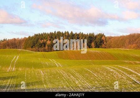 Die typische Landschaft in Ostholstein, Deutschland. Hügelig und viel Wald. Stockfoto