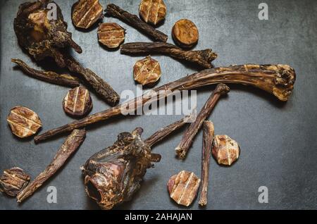 Bild eines Baumes Ast mit Blätter und Früchte von Leckereien für Hunde gelegt. Natürliche getrocknete Leckereien für Hunde auf einem dunklen Hintergrund. Pet care. Pet supplie Stockfoto