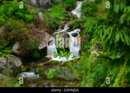 Jogni Jogini oder fällt, wird einen schönen Wasserfall in der Nähe von Vashisht Dorf in Himachal Pradesh Stockfoto