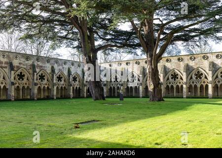 Die kunstvolle Architektur der arkadengeschmückten gotischen Kreuzgänge, der Klostergarten der Salisbury Cathedral, Wiltshire, England, Großbritannien Stockfoto