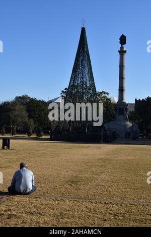 Marion Square im Herzen von Charleston, SC während der Weihnachtszeit mit Lichterketten auf neary Bäume, Staturen und Weihnachtsbäumen Stockfoto