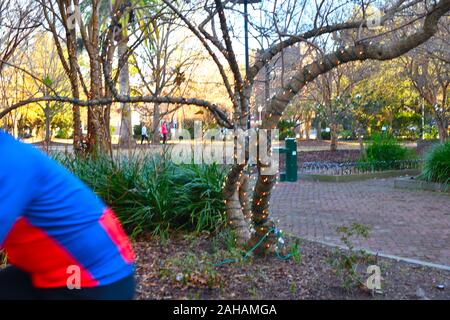 Marion Square im Herzen von Charleston, SC während der Weihnachtszeit mit Lichterketten auf neary Bäume, Staturen und Weihnachtsbäumen Stockfoto