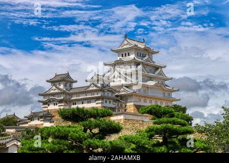 Himeji Castle in den Wolken, Himeji, Japan Stockfoto