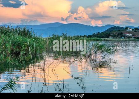 Blick über die Schilfbeete am Mikri Prespa See auf die Insel Agios Achilios bei Sonnenuntergang, Mazedonien, Nordgriechenland. Stockfoto